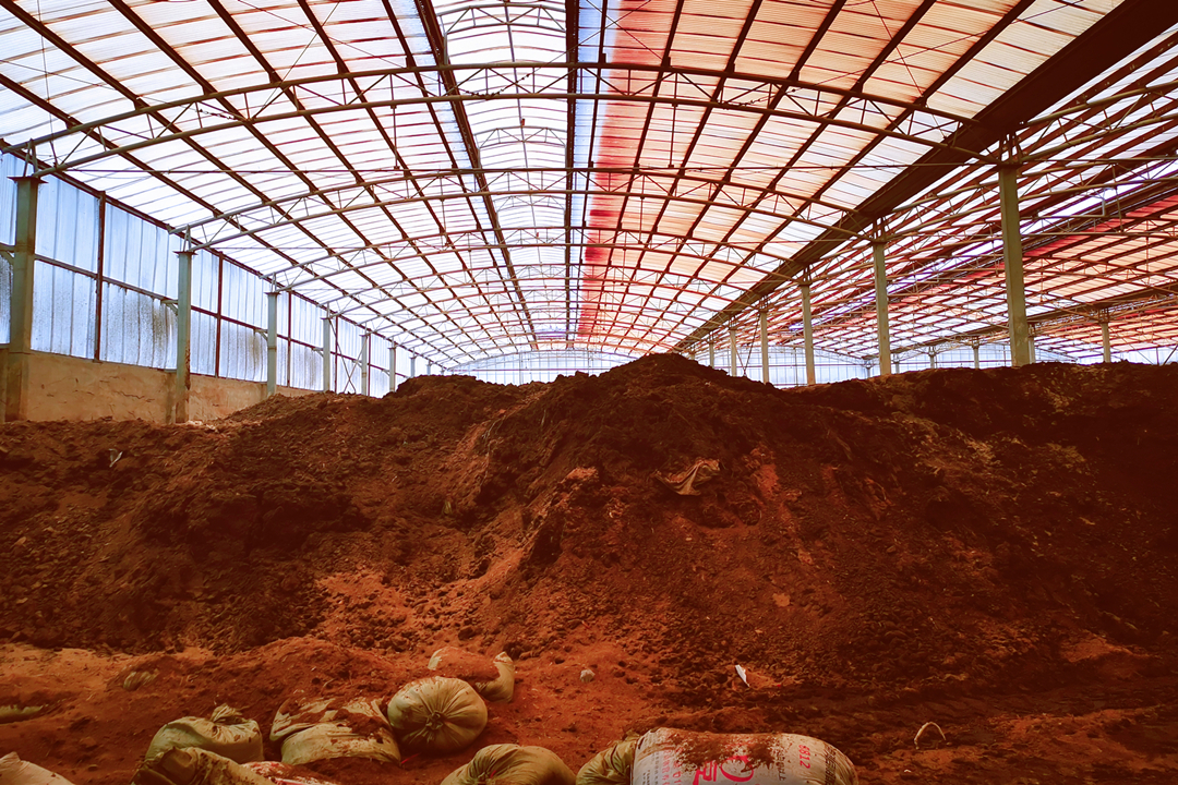 Demo Image